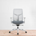 Herman Miller Verus Triflex Back Mineral Office Chair Special Edition | Re-Lived
